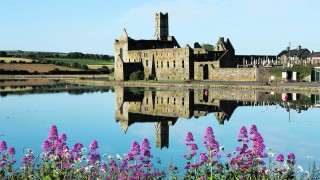Timoleague Abbey, photo by Mike Brown Photography