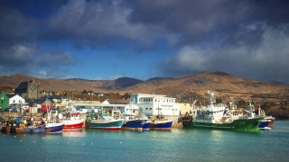 Boats in Castletownbere harbour