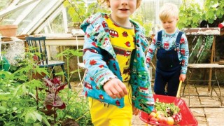 Photo of Grasshopper