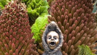 Photo of The Ewe Experience