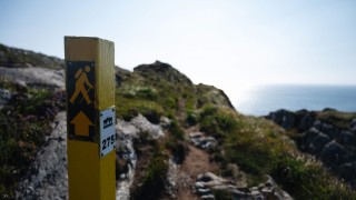 Sheeps head walking sign