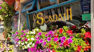 Scannell&rsquo;s Bar