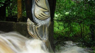 Photo of The Ewe Experience