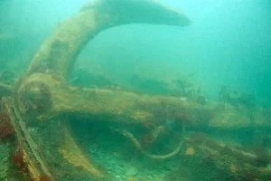 Baltimore diving