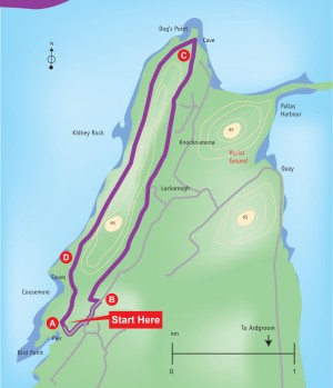 Pulleen loop map