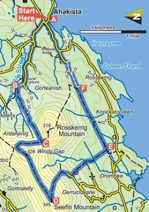 Seefin loop map